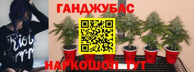ешки Владикавказ
