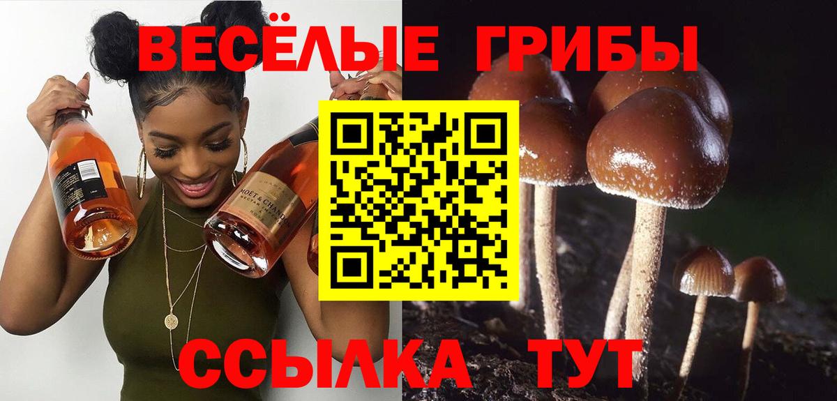 Вичуга  Галлюциногенные грибы прущие грибы  Вход с VPN 