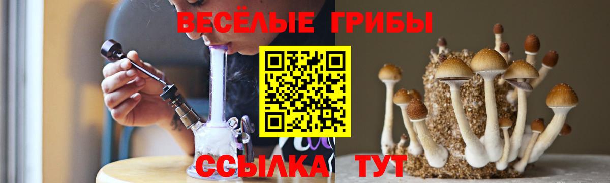 Галлюциногенные грибы ЛСД Вичуга